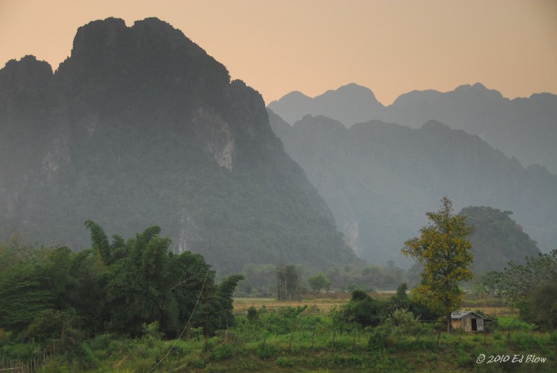 Tree and house.jpg - Vang Vieng